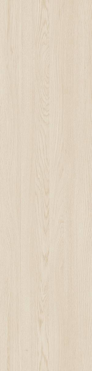 Scandinavian Light Wood