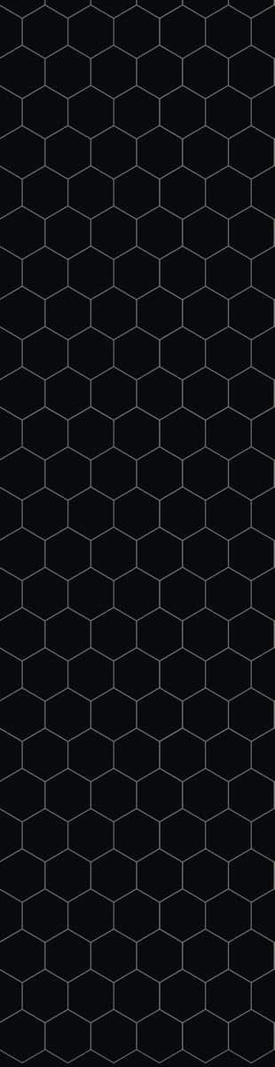 Transitionalist Black Hexagon